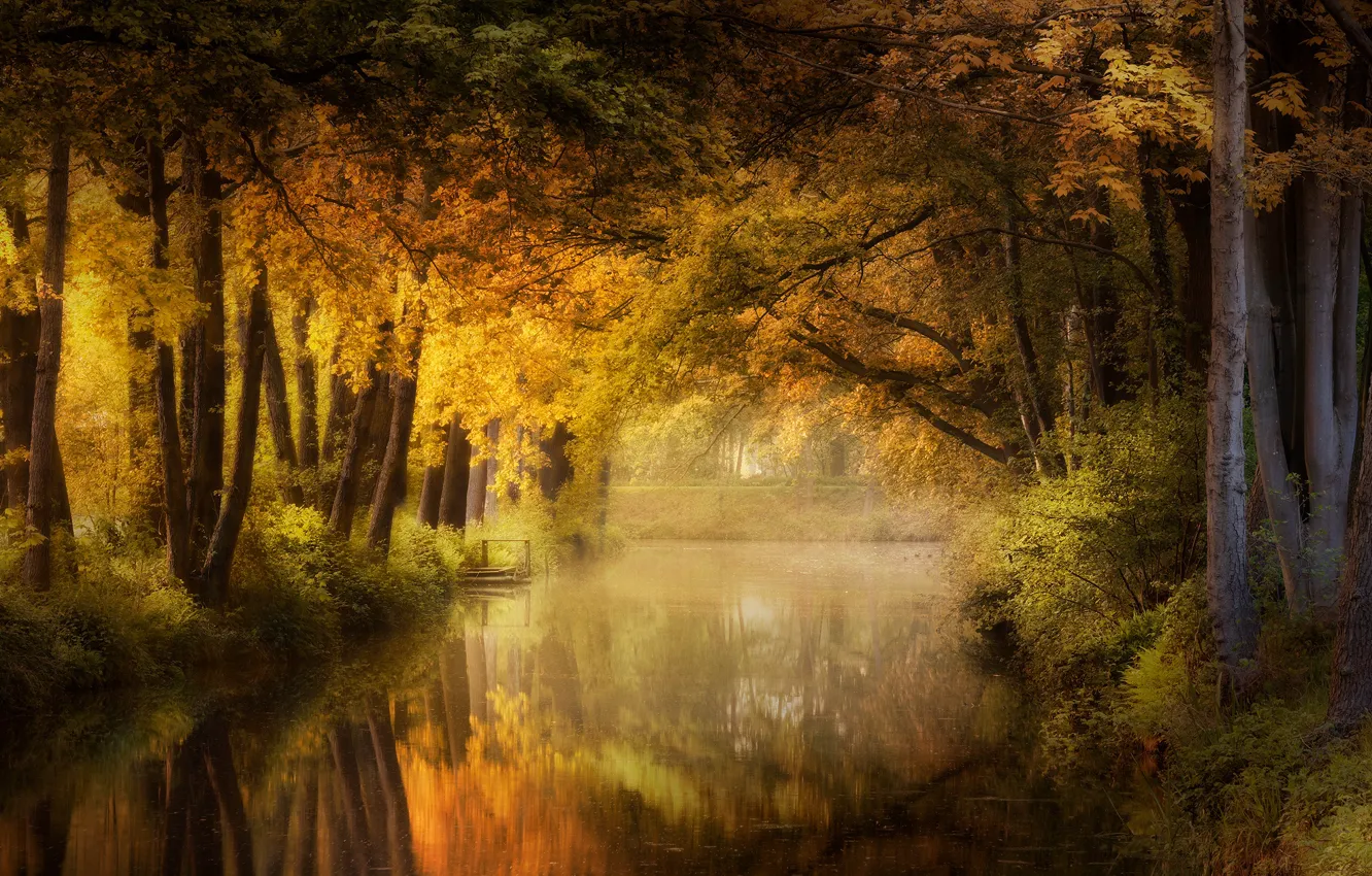 Фото обои осень, лес, свет, пруд, парк, отражение, листва, канал