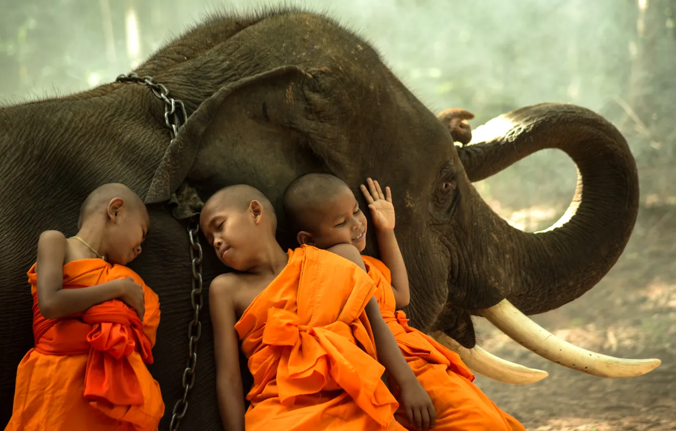 Фото обои nature, boy, asian, monk