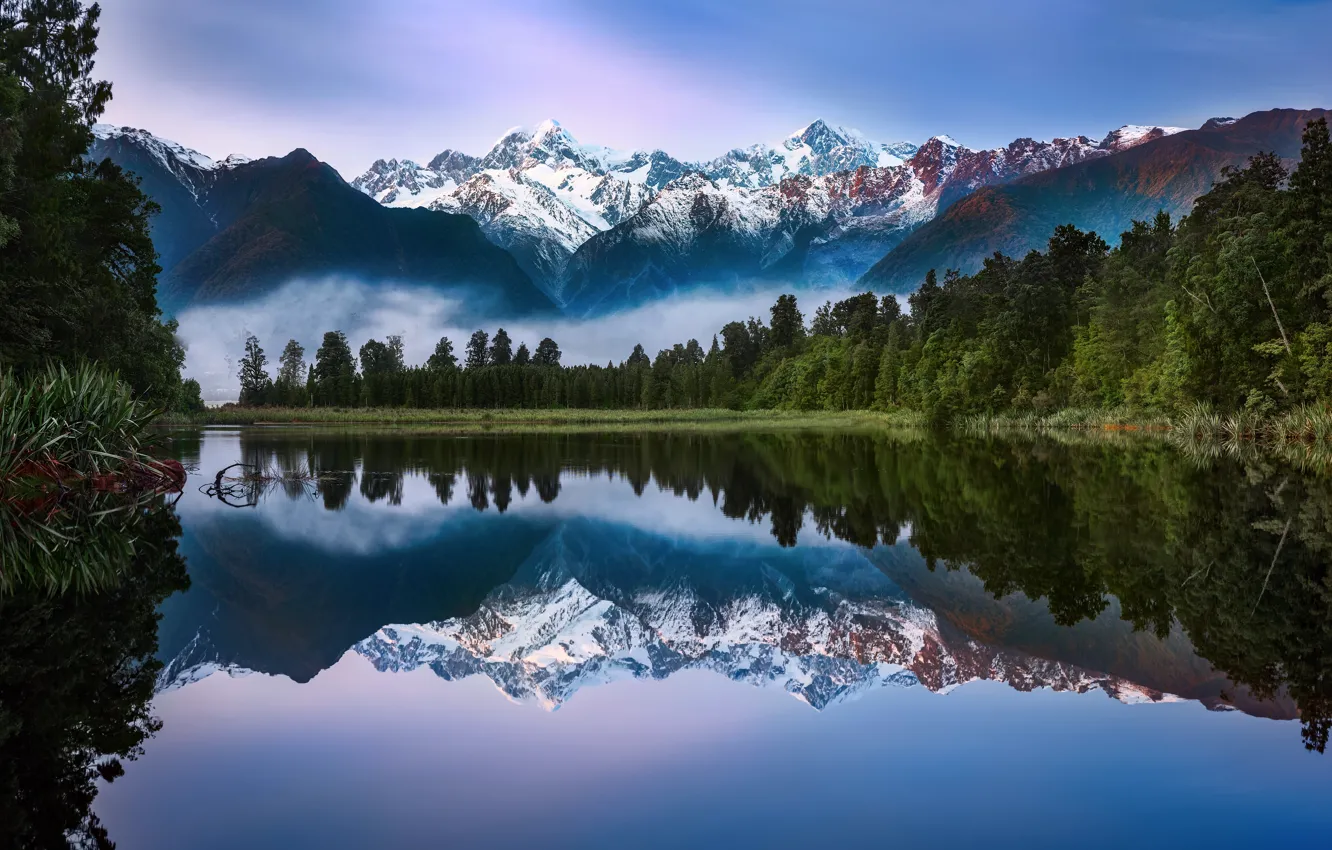 Фото обои лес, небо, отражения, горы, туман, озеро, утро, Новая Зеландия