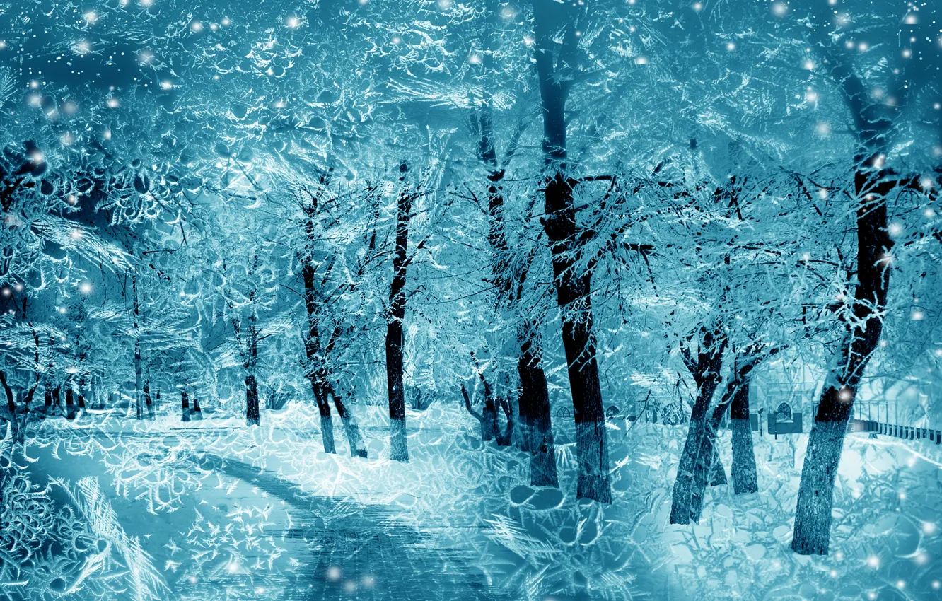 Фото обои зима, снег, деревья, снежинки, природа, nature, winter, snow