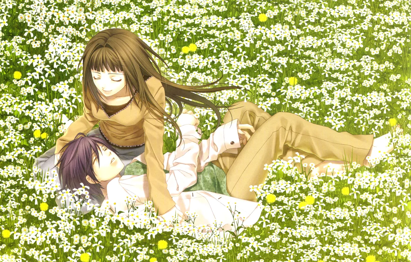Фото обои поле, девушка, цветы, аниме, арт, парень, лёжа, hiiro no kakera