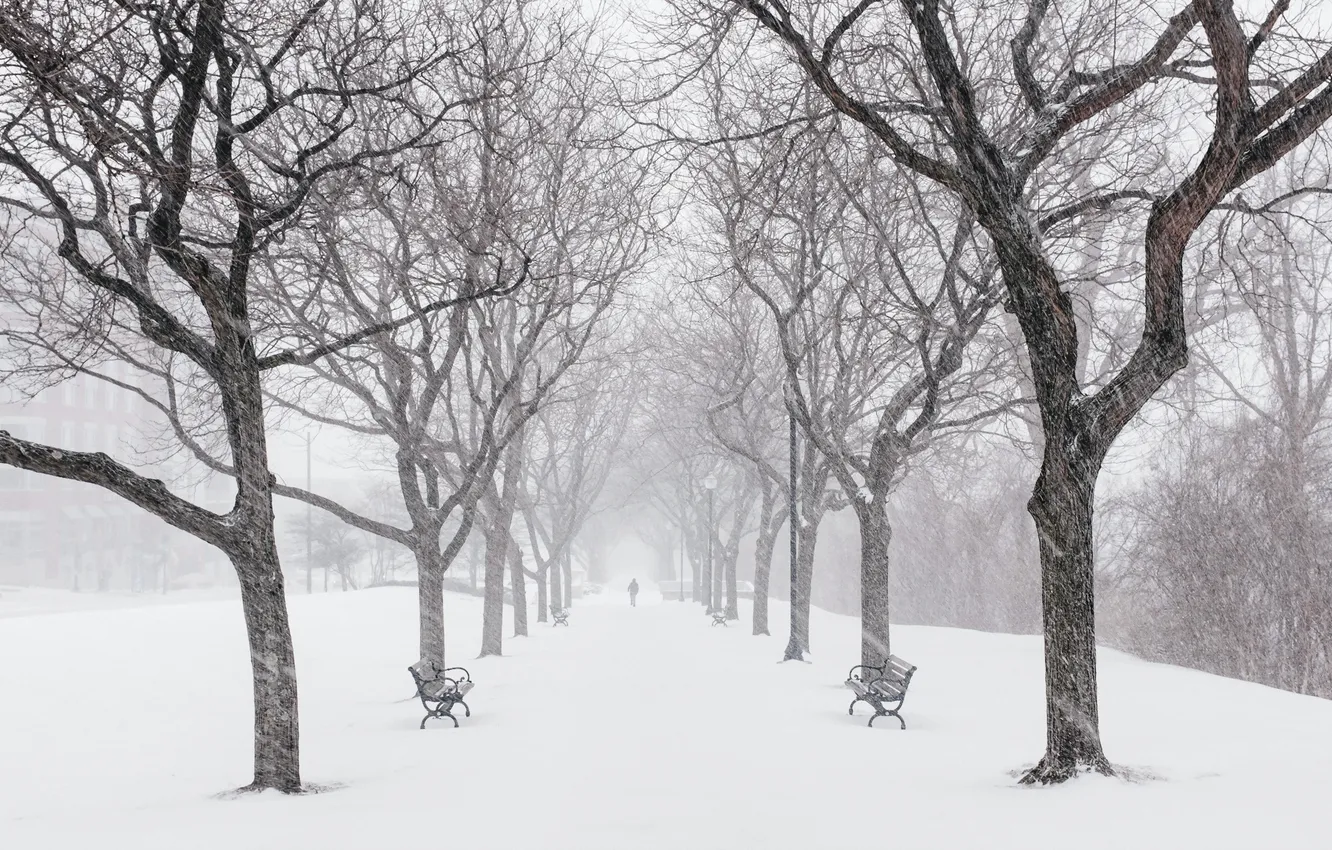 Фото обои зима, город, улица