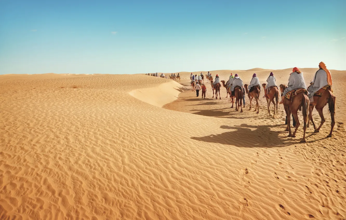 Фото обои desert, sand, tourism, camels, caravan