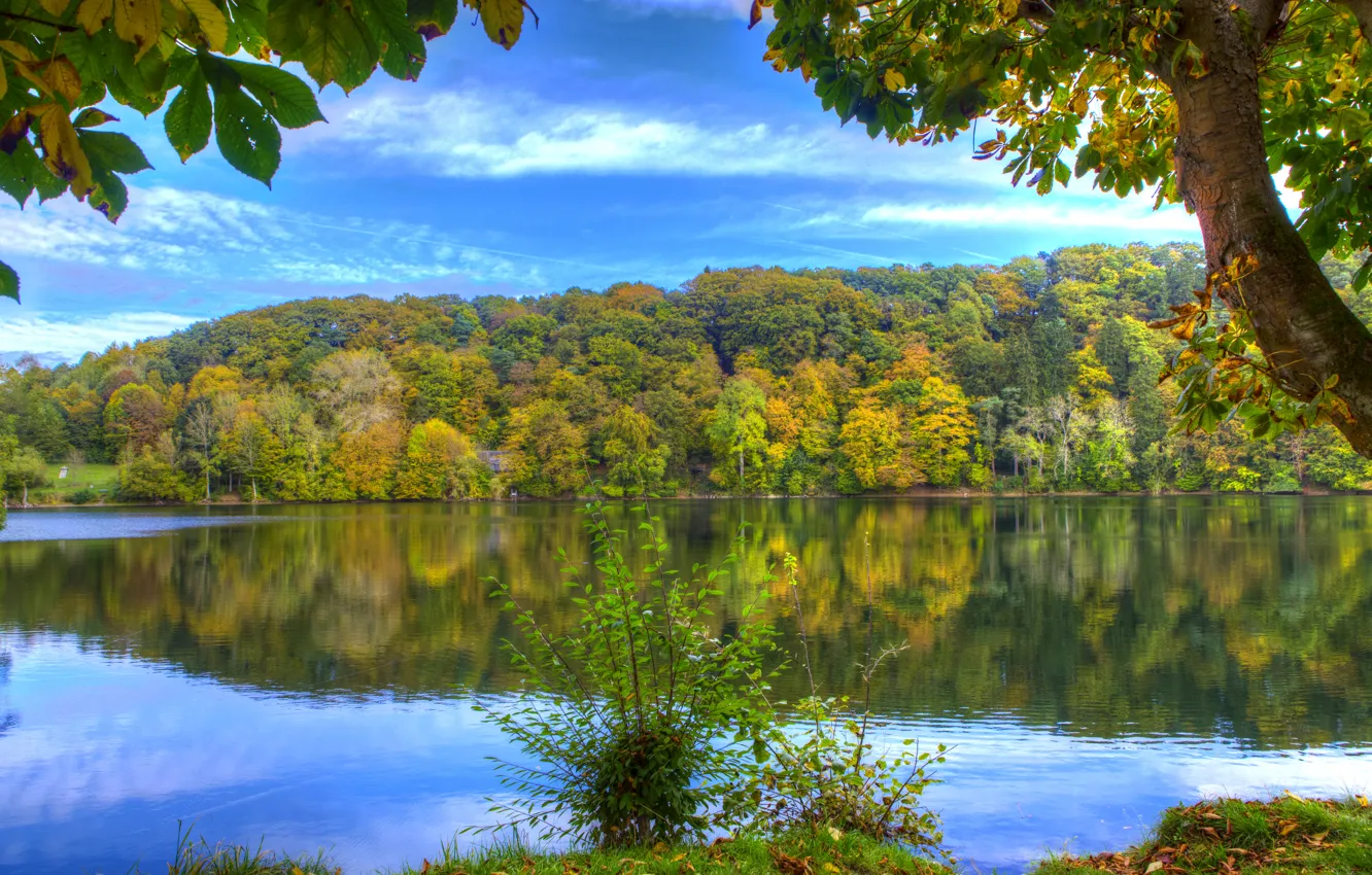 Фото обои осень, лес, вода, деревья, отражение, река, берег, Германия