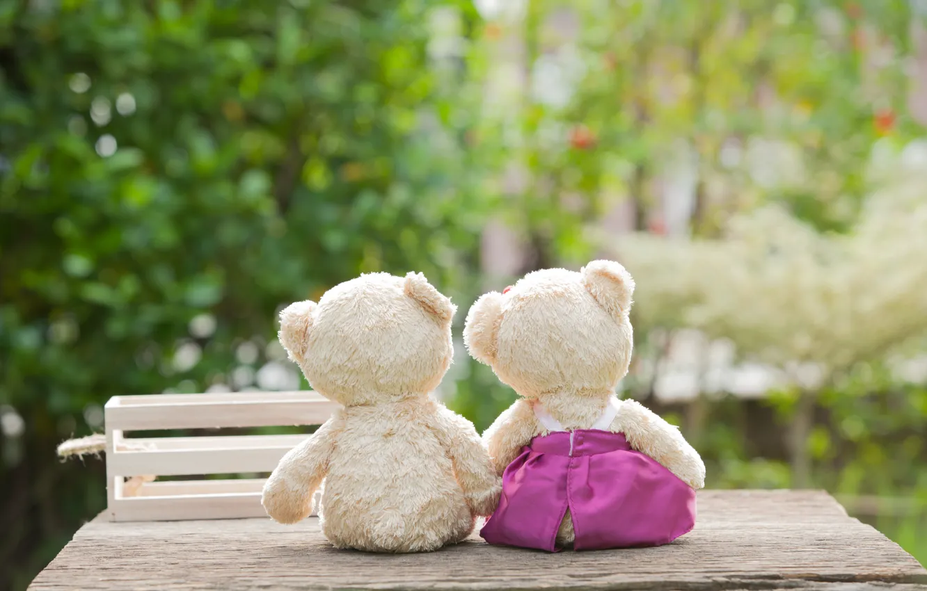 Фото обои любовь, игрушка, медведь, пара, love, bear, park, romantic