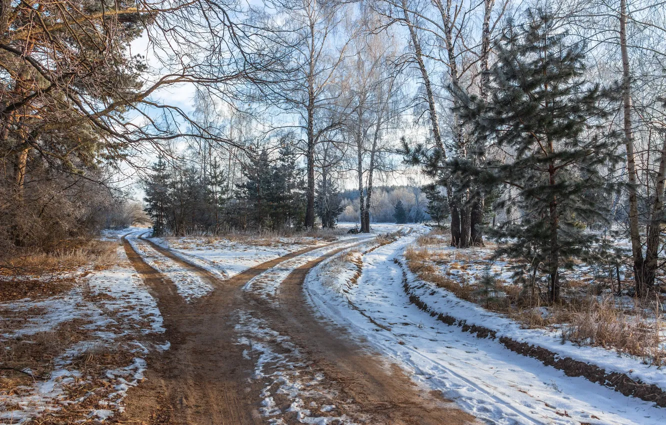 Фото обои зима, иней, лес, снег, природа, заповедник, Руслан Востриков