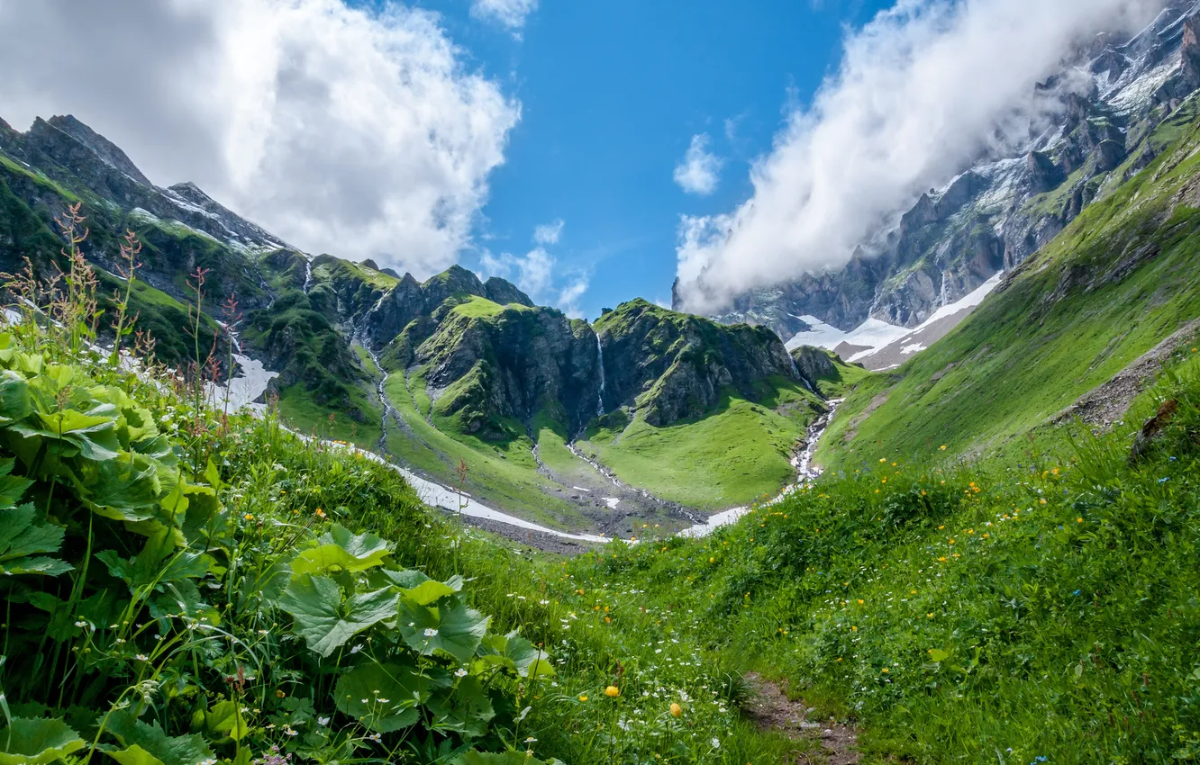 Фото обои трава, облака, горы, луг, ущелье, Switzerland
