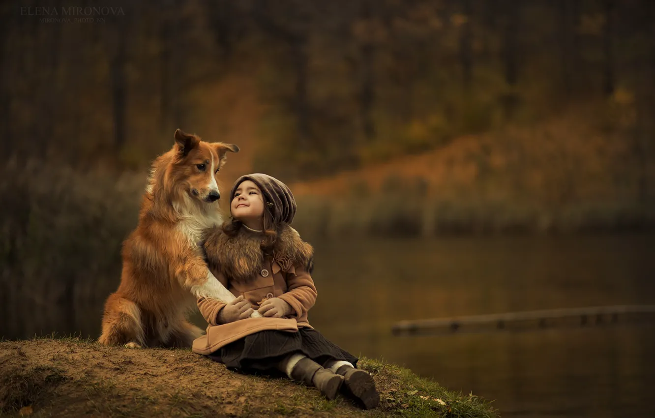 Фото обои счастье, собака, дружба, девочка