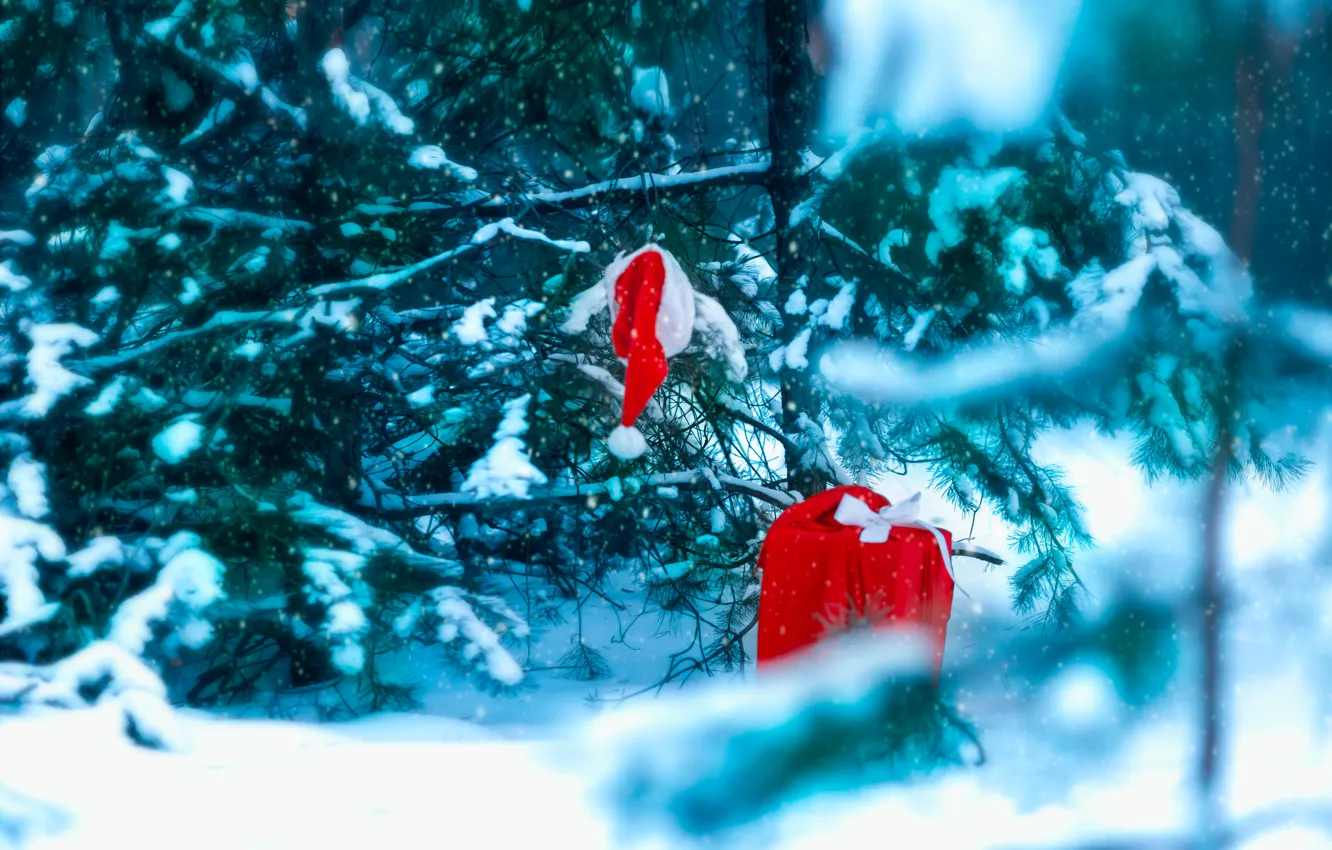 Фото обои зима, лес, снег, Новый год, Подарок