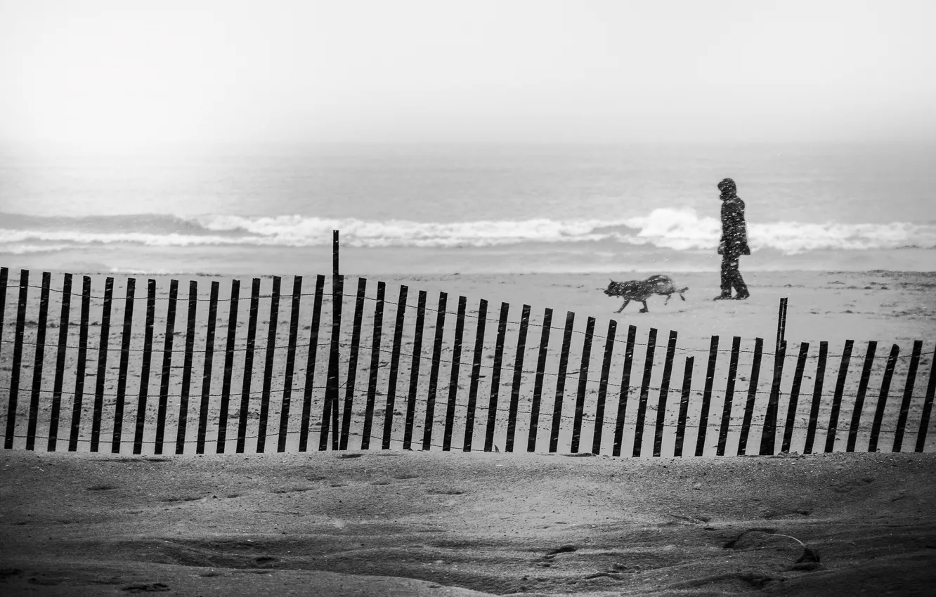 Фото обои waves, storm, beach, ocean, seascape, dog, man, sand