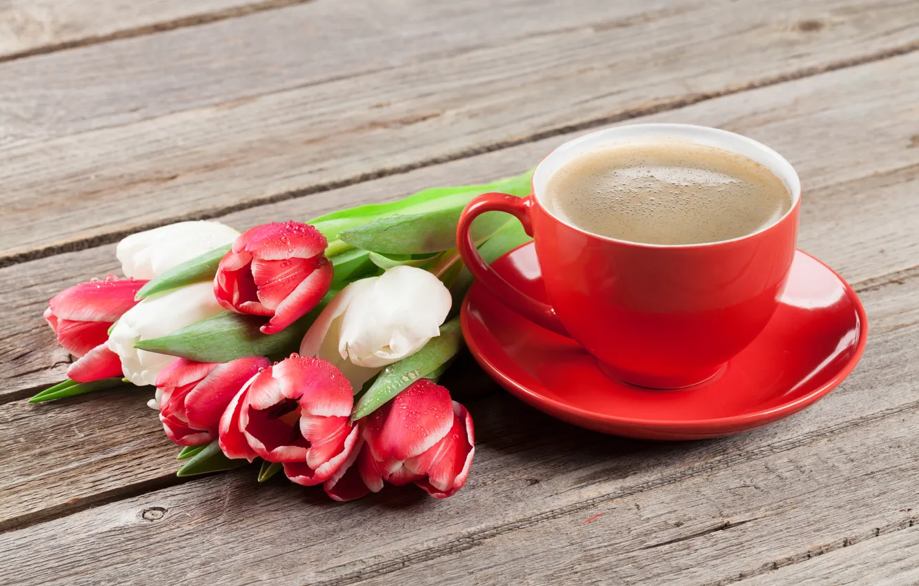 Фото обои цветы, букет, тюльпаны, red, white, wood, flowers, tulips