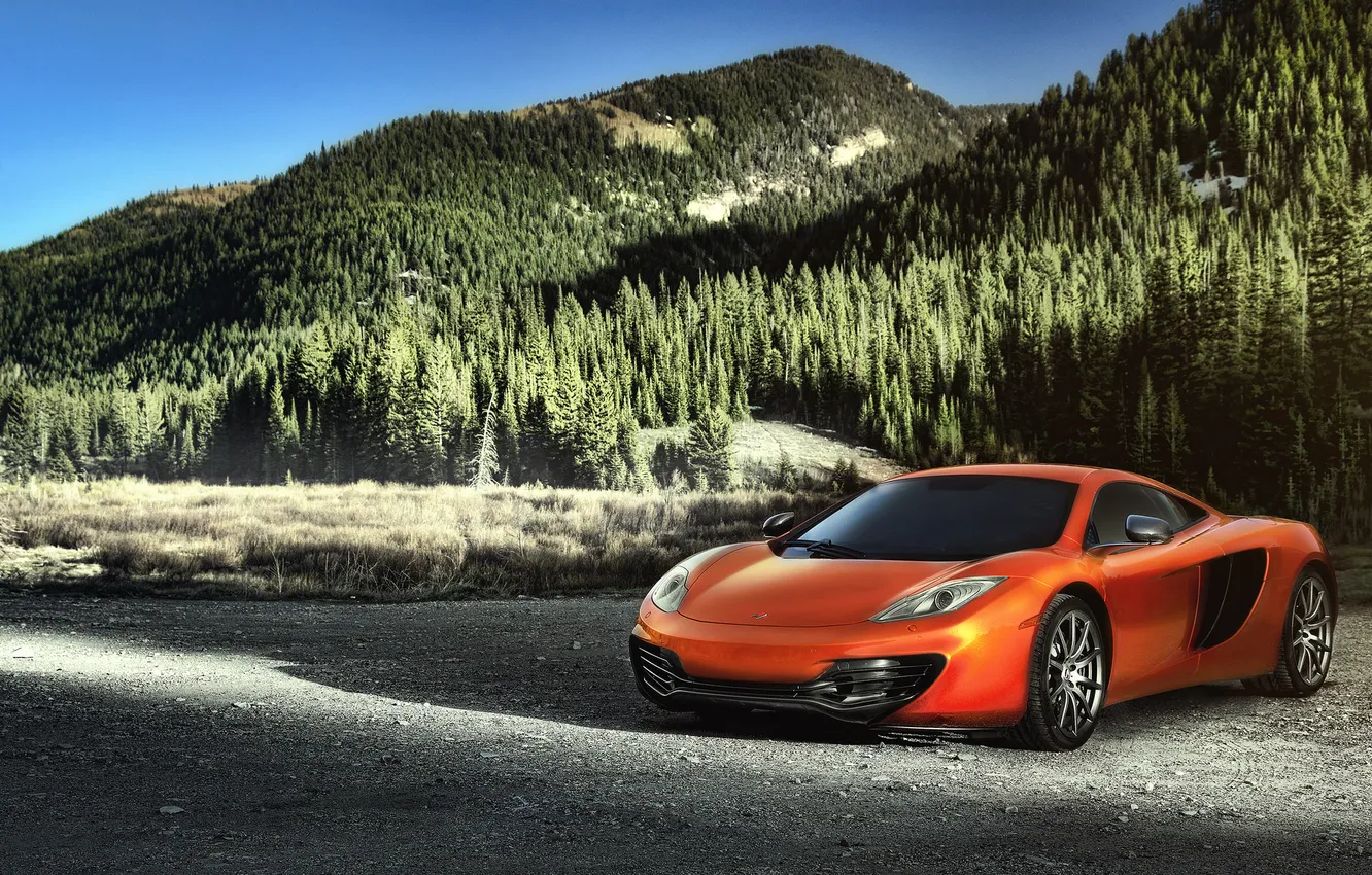 Фото обои лес, горы, оранжевый, McLaren, ели, сосны, MP4-12C, orange