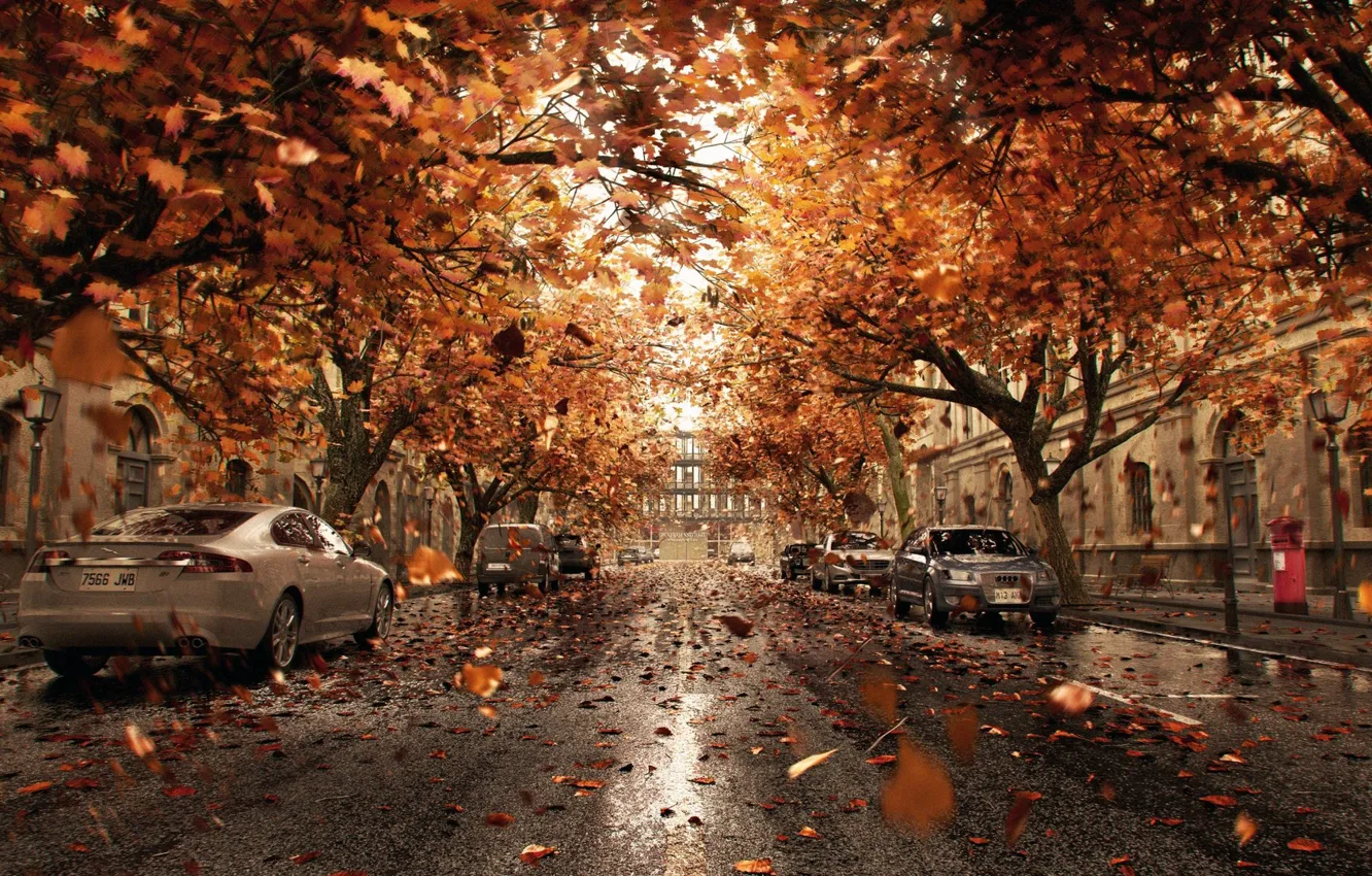 Фото обои листья, город, улица, автомобили, Orange Shower