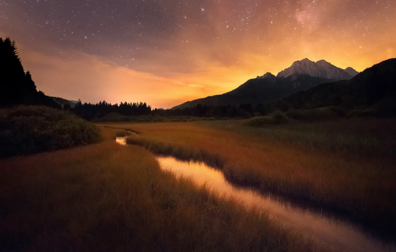 Фото обои небо, трава, звезды, деревья, пейзаж, горы, ночь, природа