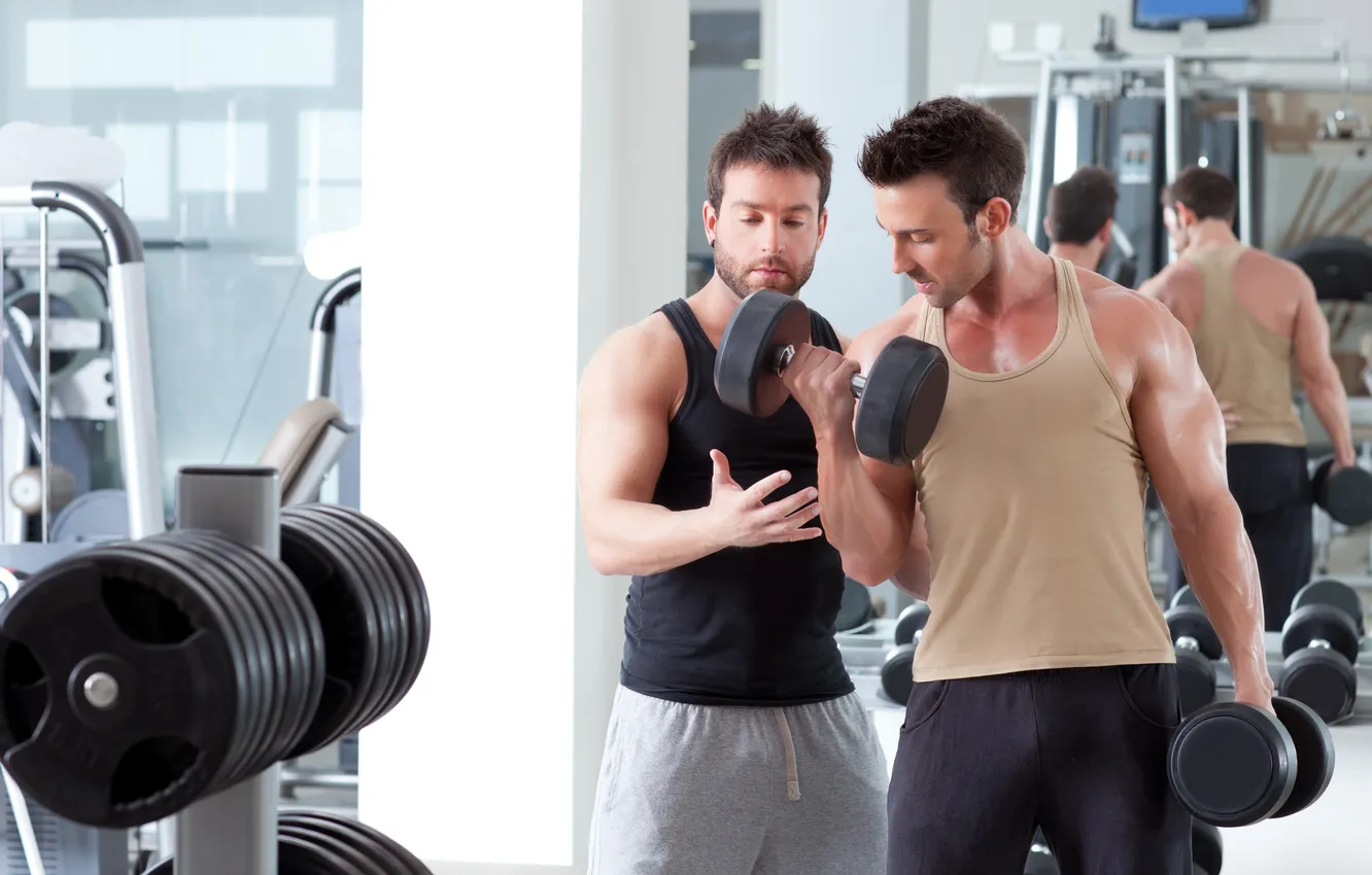 Фото обои взгляд, поза, двое, muscle, мышцы, pose, тренировка, тренажеры