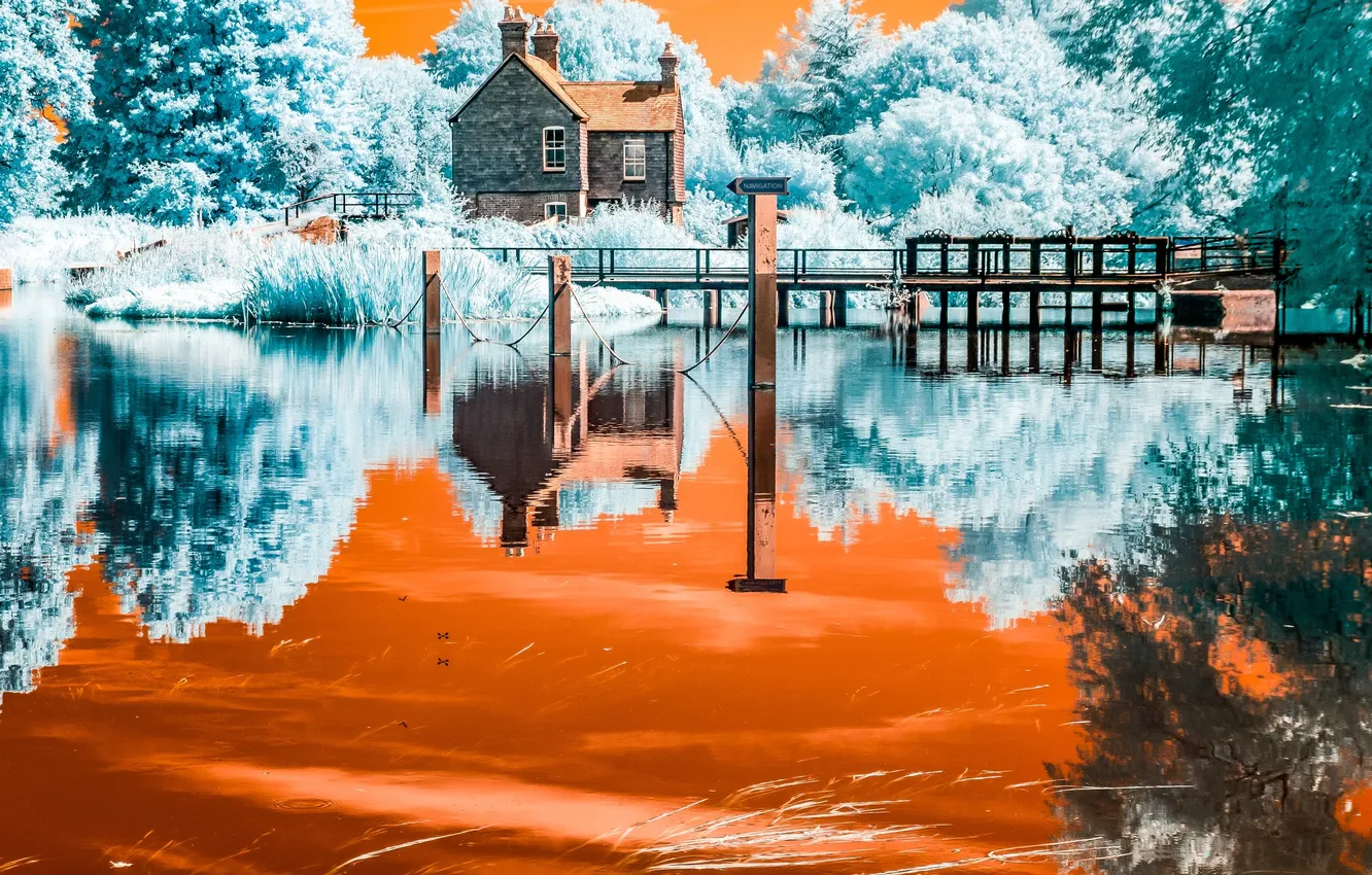 Фото обои цвета, деревья, дом, река, мостик