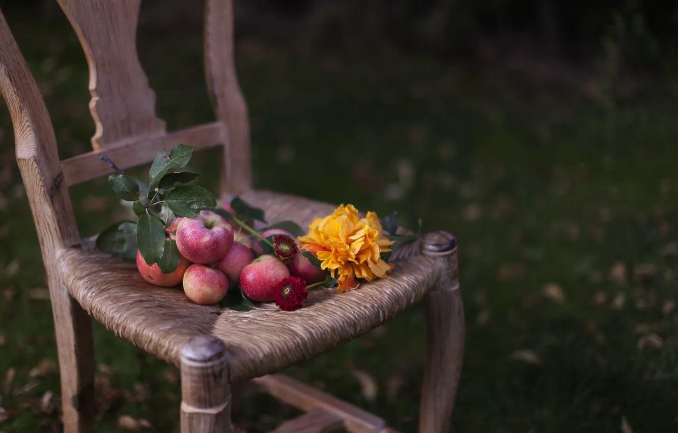 Фото обои яблоки, подсолнух, стул