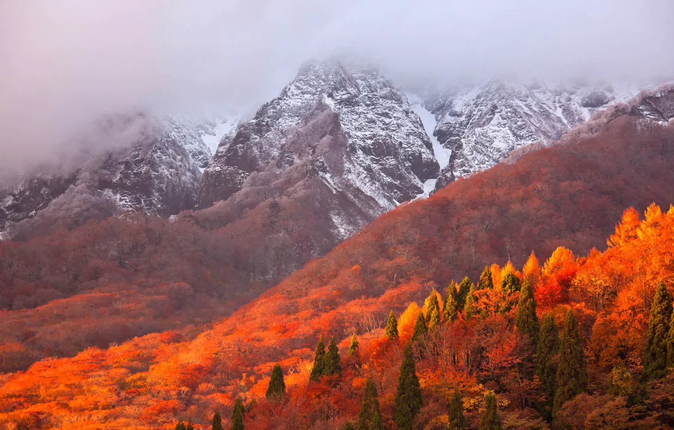 Фото обои осень, горы, Япония
