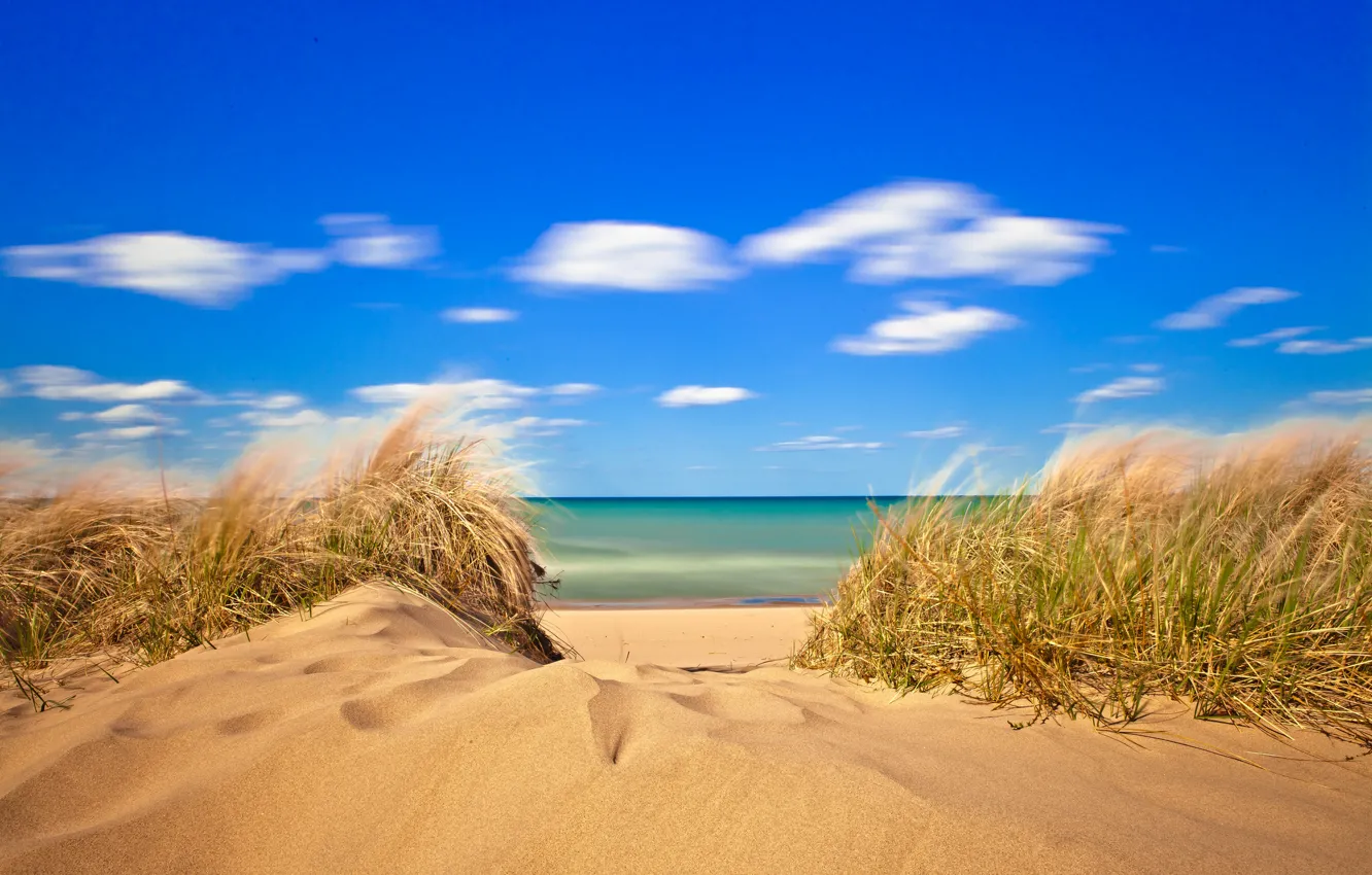 Фото обои песок, море, небо, трава, облака