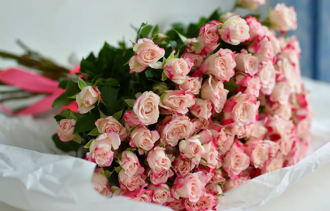 Фото обои цветы, бумага, фон, розы, букет, светлый, лежит, розовые