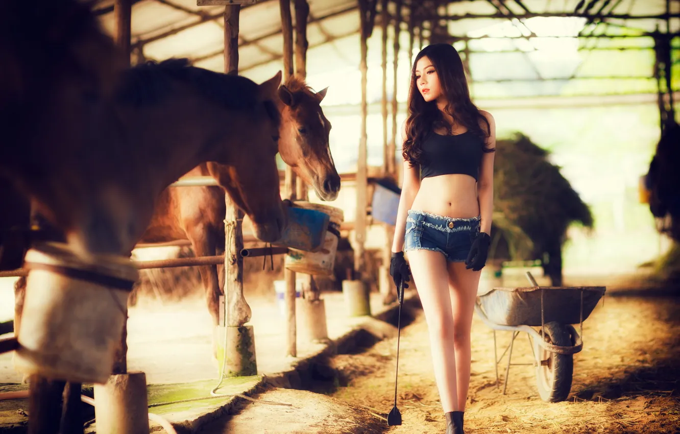 Фото обои девушка, кони, азиатка