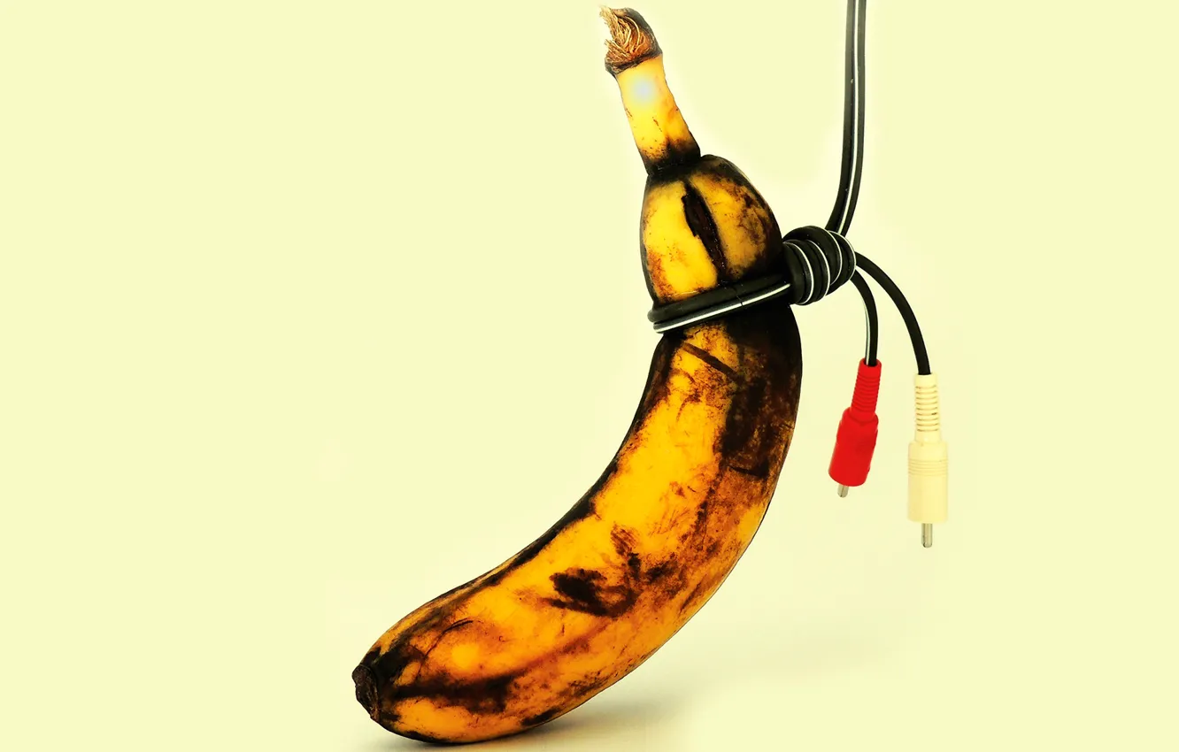 Фото обои ART, МУЗЫКА, MUSIC, ИСКУССТВО, ПЛАГИАТ, PLAGIARISM