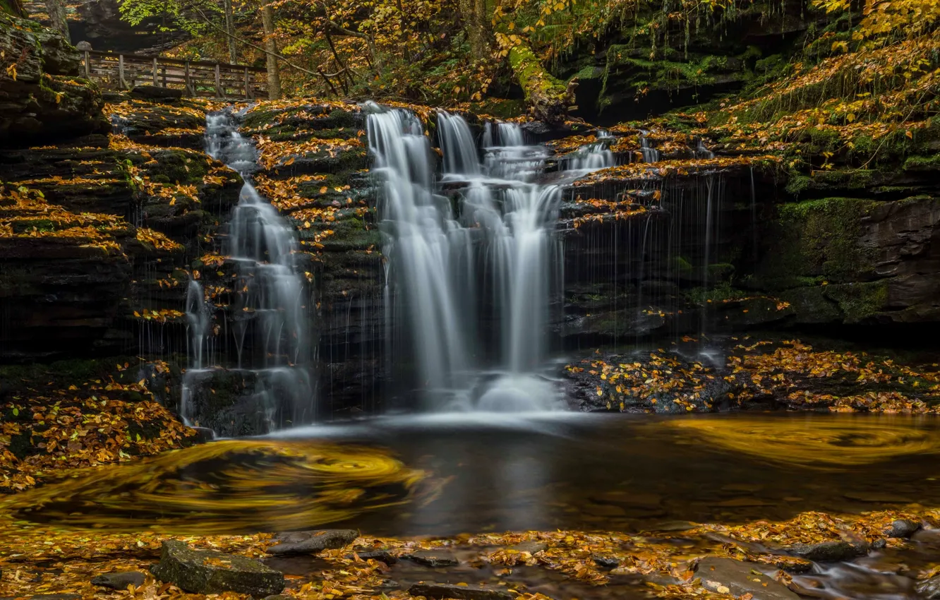 Фото обои осень, листья, водопад, Пенсильвания, каскад, Pennsylvania, Ricketts Glen State Park