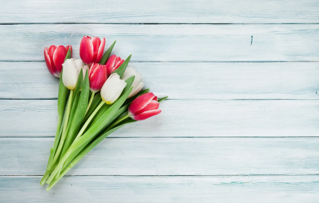 Фото обои цветы, букет, тюльпаны, red, white, wood, flowers, tulips