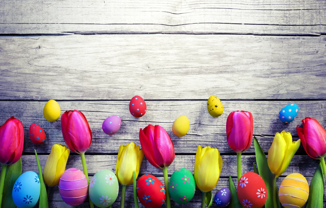 Фото обои цветы, весна, colorful, Пасха, тюльпаны, wood, flowers, tulips