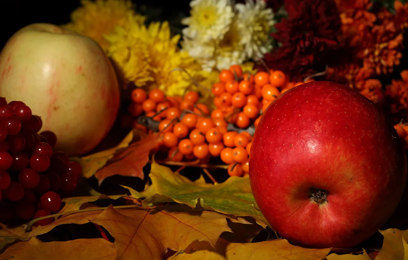 Фото обои листья, яблоко, рябина, дары осени