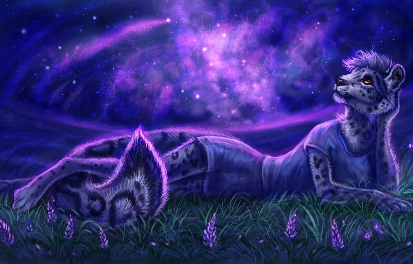 Фото обои трава, взгляд, морда, девушка, космос, звезды, ночь, поза