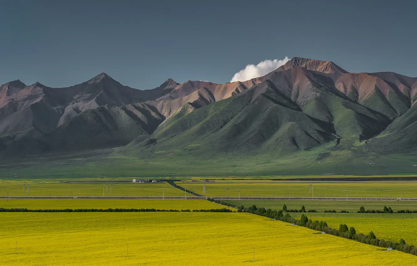 Фото обои China, sky, trees, field, landscape, nature, mountains, clouds