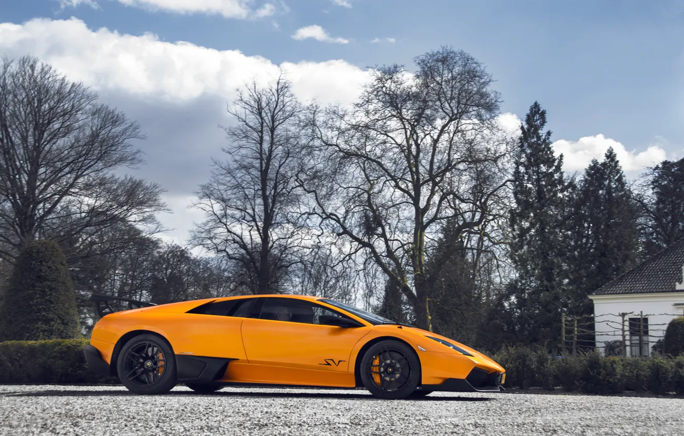 Фото обои Lamborghini, Murciélago, LP-670