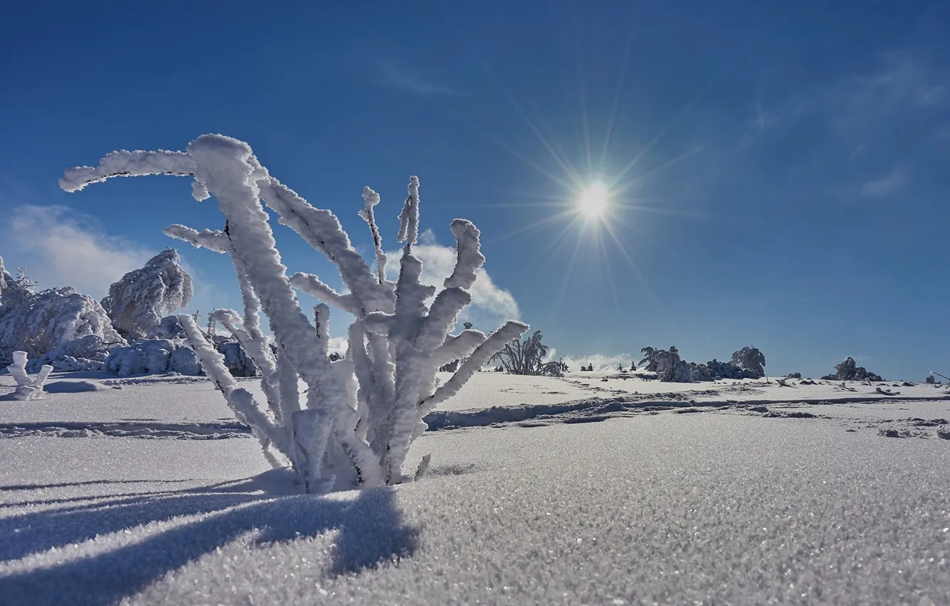 Фото обои зима, снег, пейзаж, природа, красота, мороз, панорама