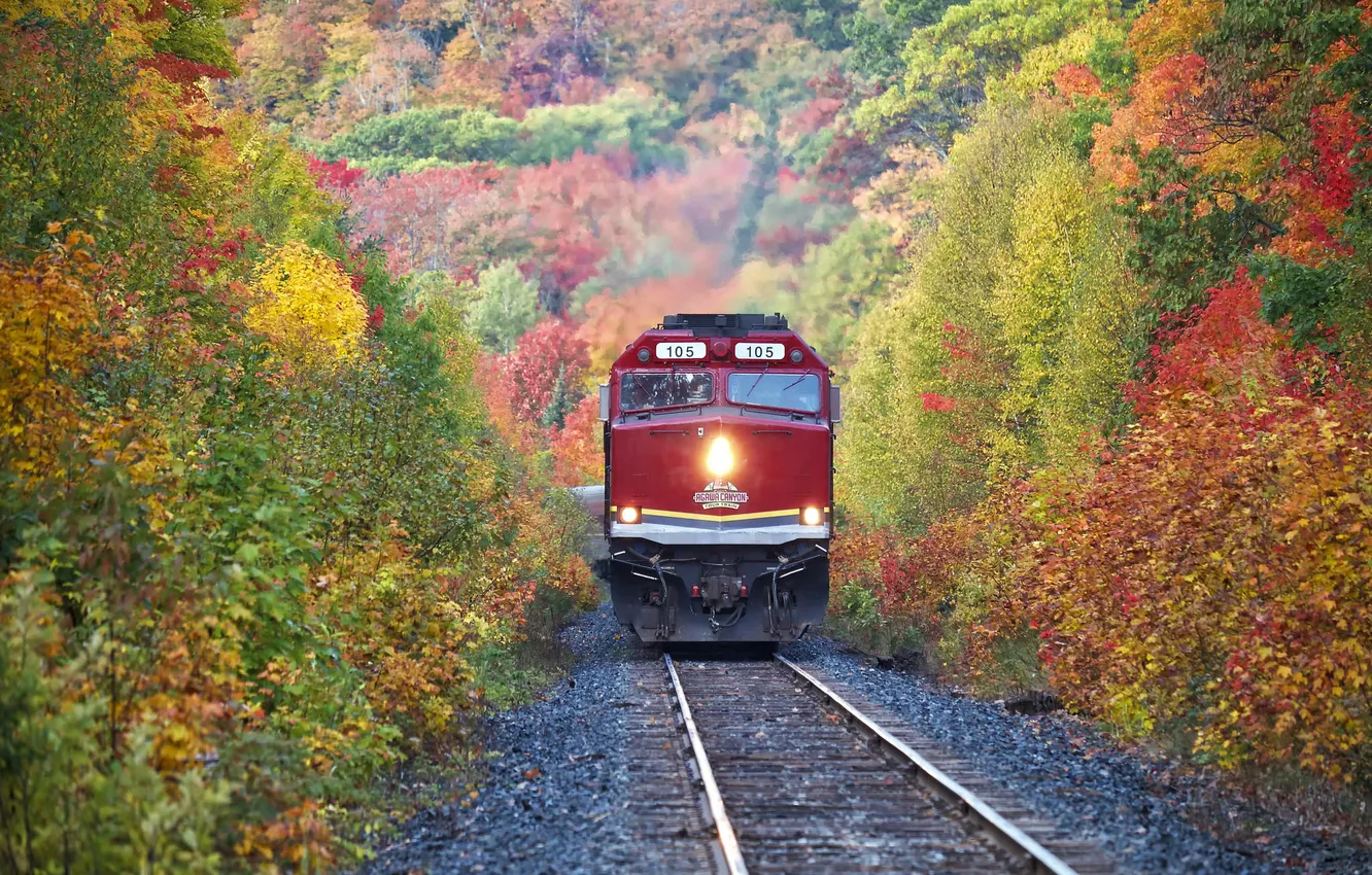 Фото обои дорога, осень, листья, деревья, рельсы, поезд, склон