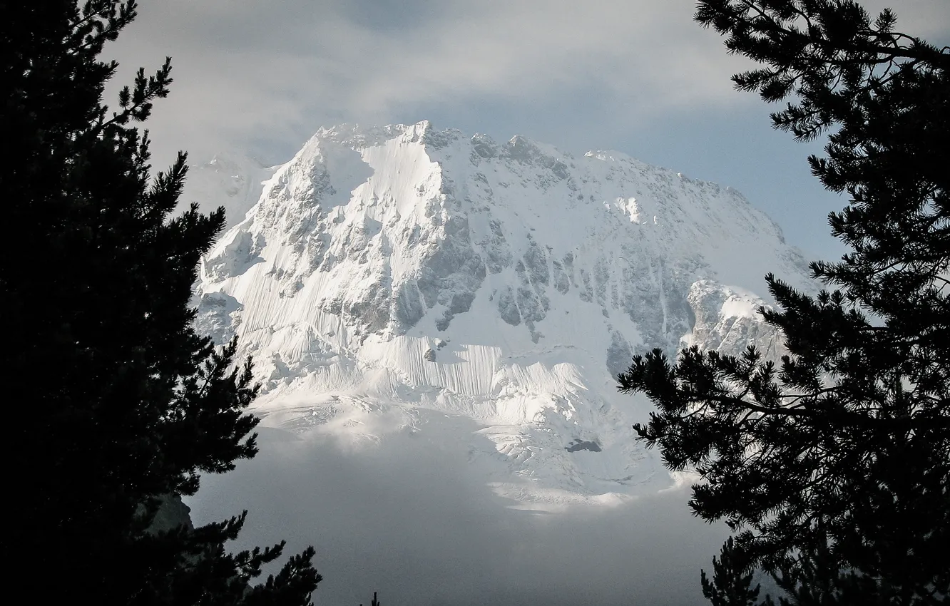 Фото обои снег, деревья, горы, скалы, склон