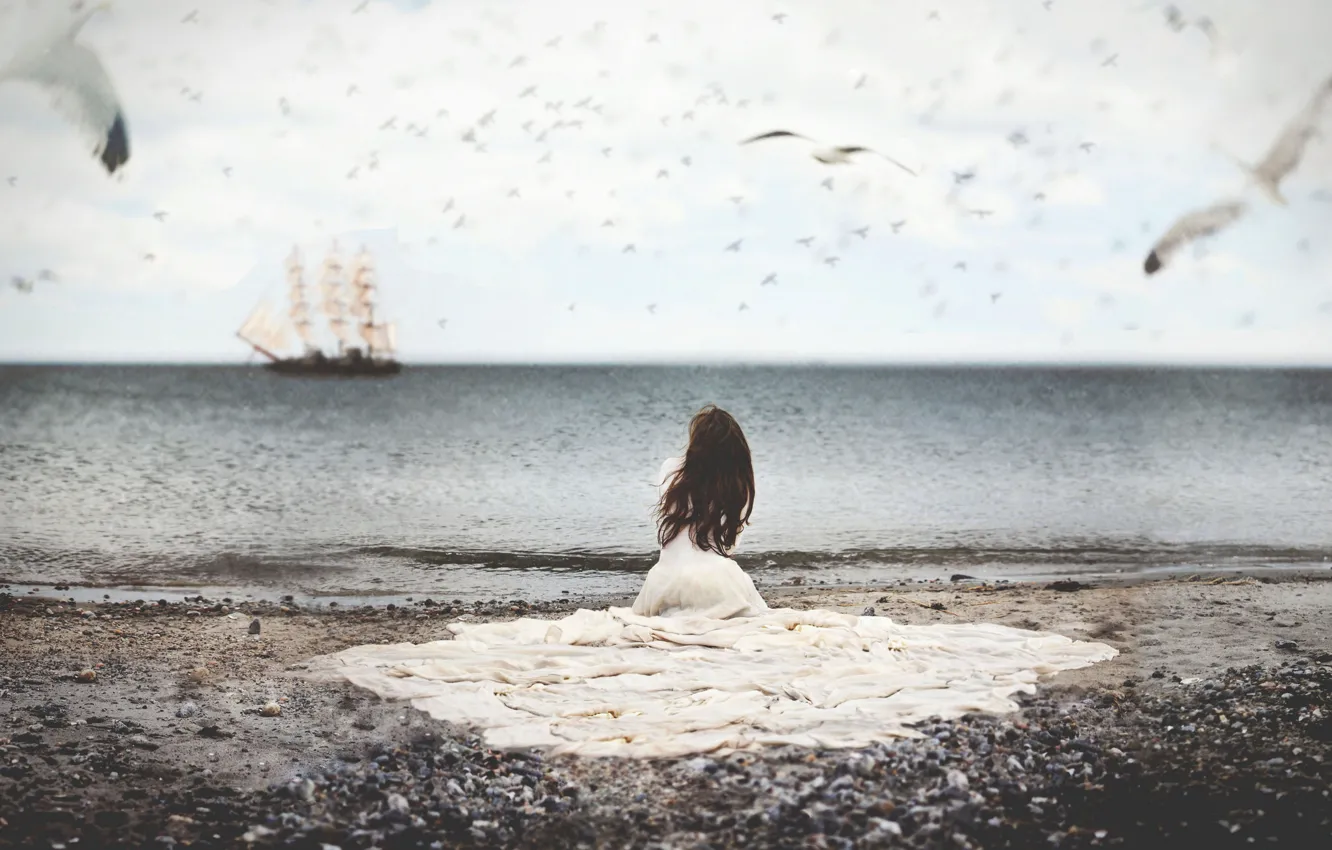 Фото обои море, вода, девушка, птицы, корабль, чайки, платье