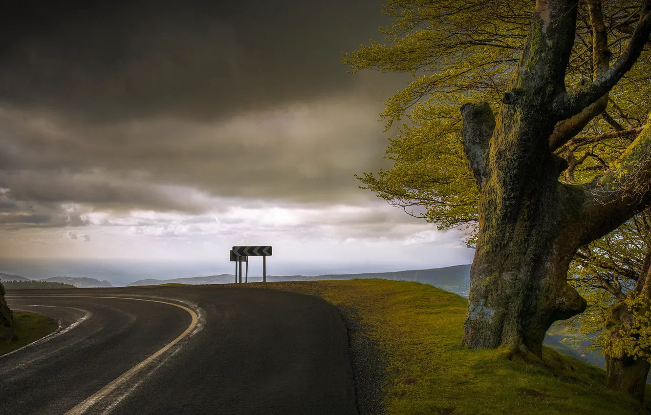 Фото обои дорога, небо, дерево, поворот