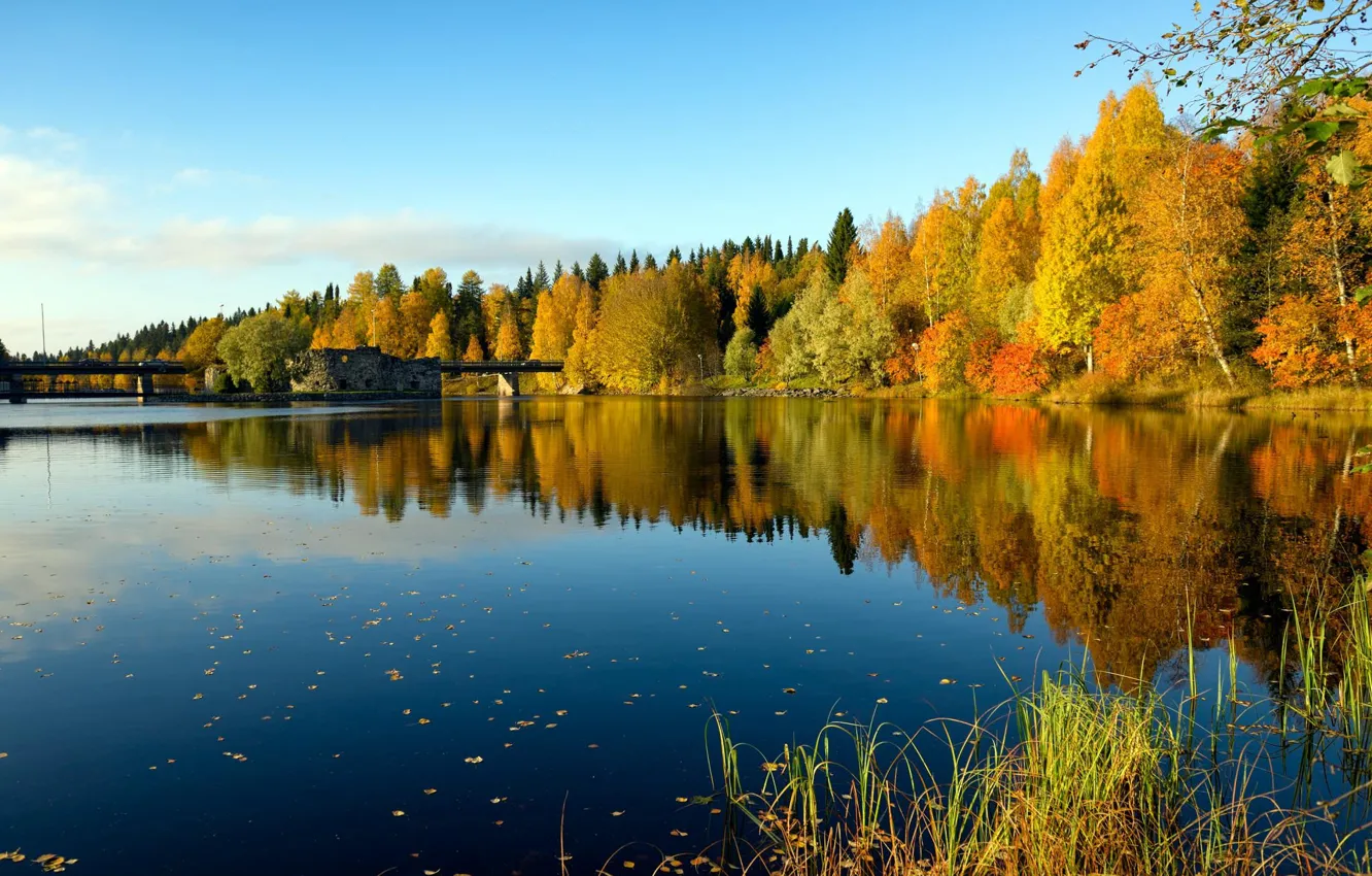 Фото обои осень, лес, небо, мост, река