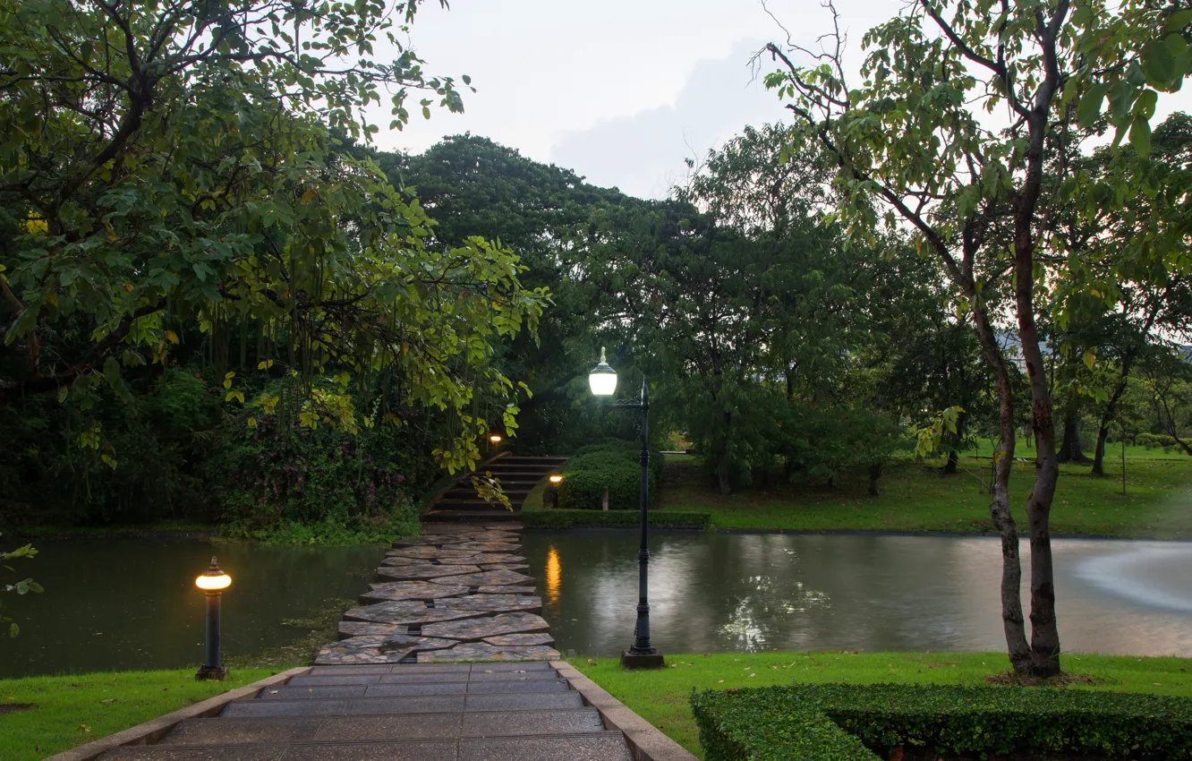 Фото обои зелень, трава, деревья, ветки, огни, пруд, парк, газон