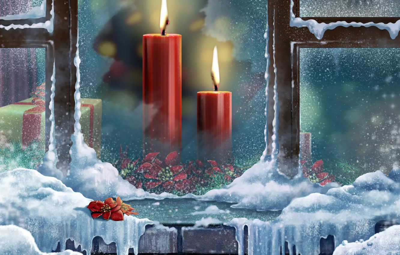 Фото обои цвета, снег, цветы, коробка, подарок, милая, зимние, окна