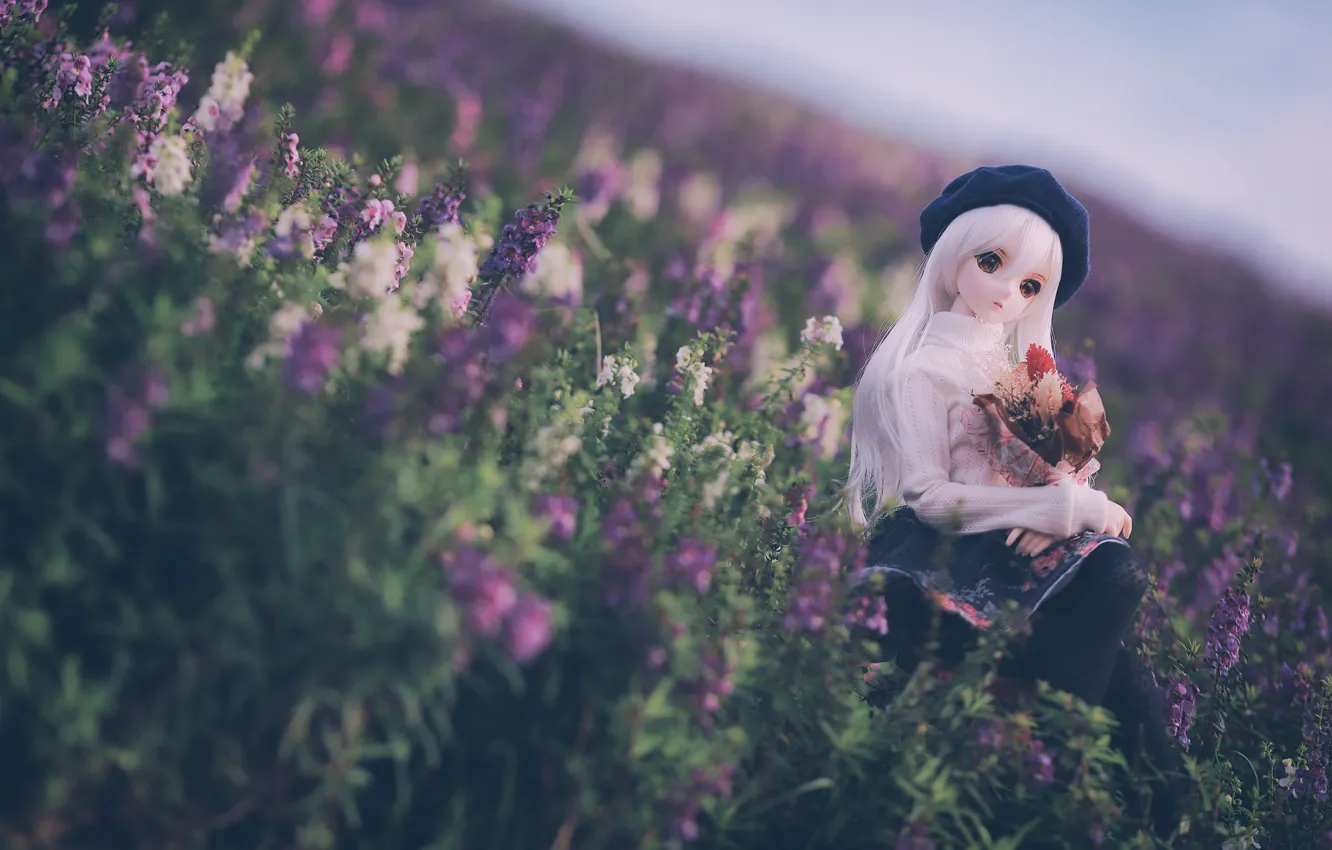 Фото обои цветы, кукла, луг, берет