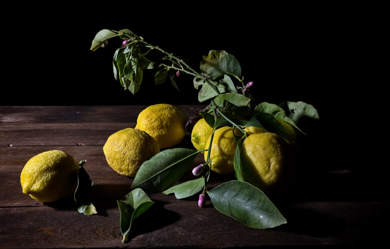 Фото обои еда, фрукты, лимоны