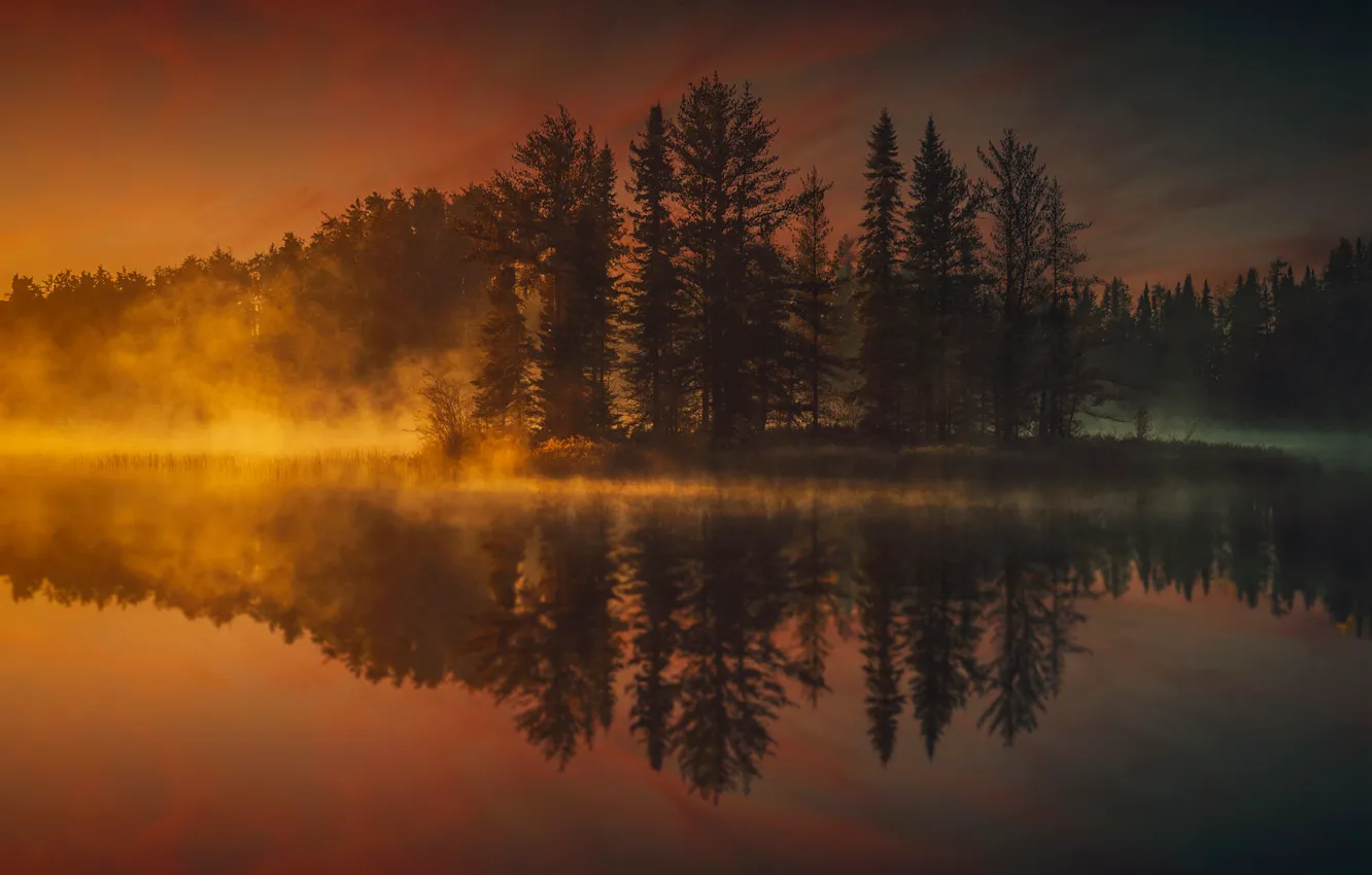 Фото обои лес, деревья, туман, озеро, красота