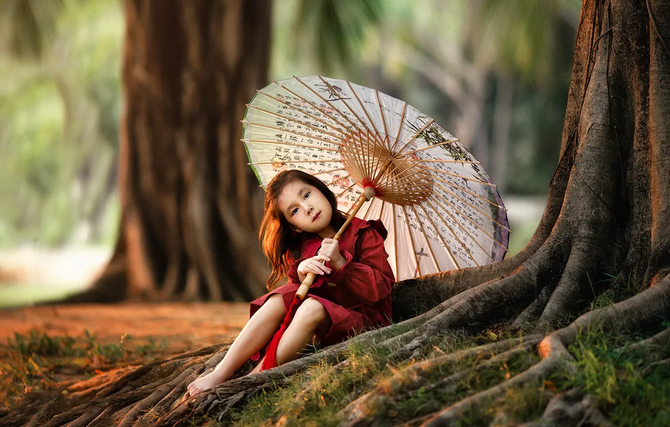 Фото обои деревья, природа, зонтик, девочка, ребёнок, Анастасия Бармина, Бармина Анастасия