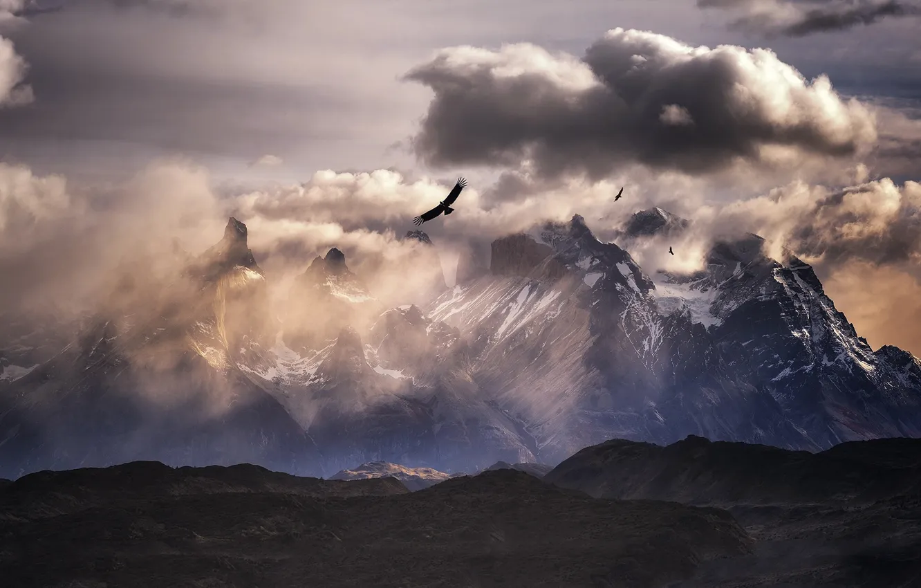 Фото обои облака, горы, птицы, Анды, Южная Америка, кондор