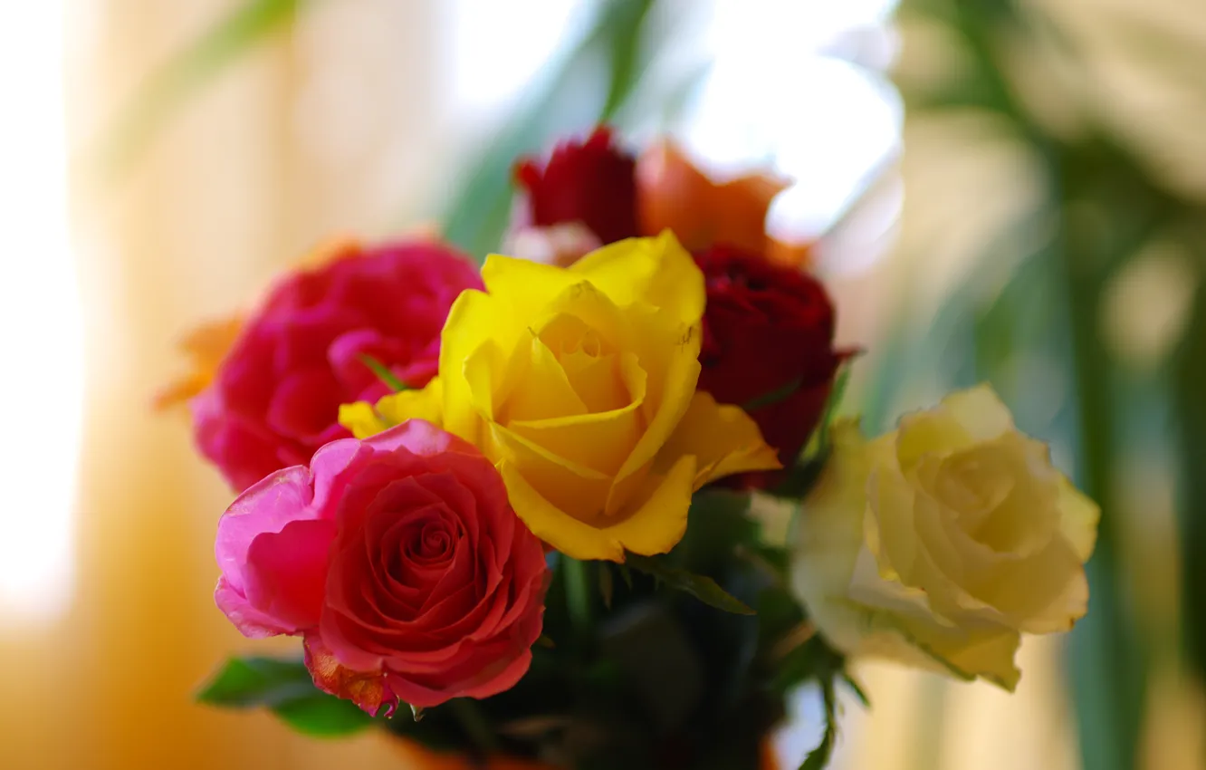 Фото обои цветы, розы, букет, желтые, красные, разноцветные, боке, размытый фон