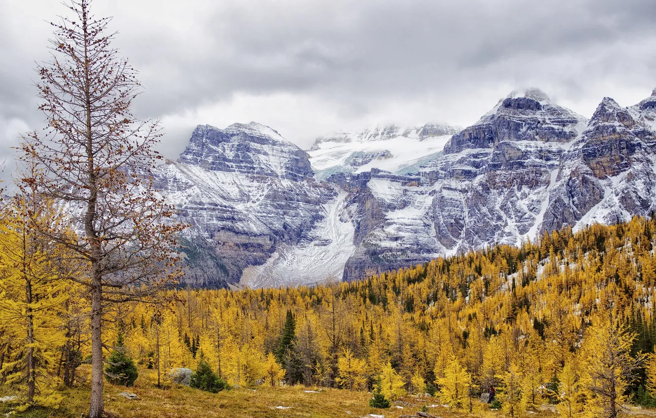 Фото обои осень, снег, деревья, пейзаж, горы