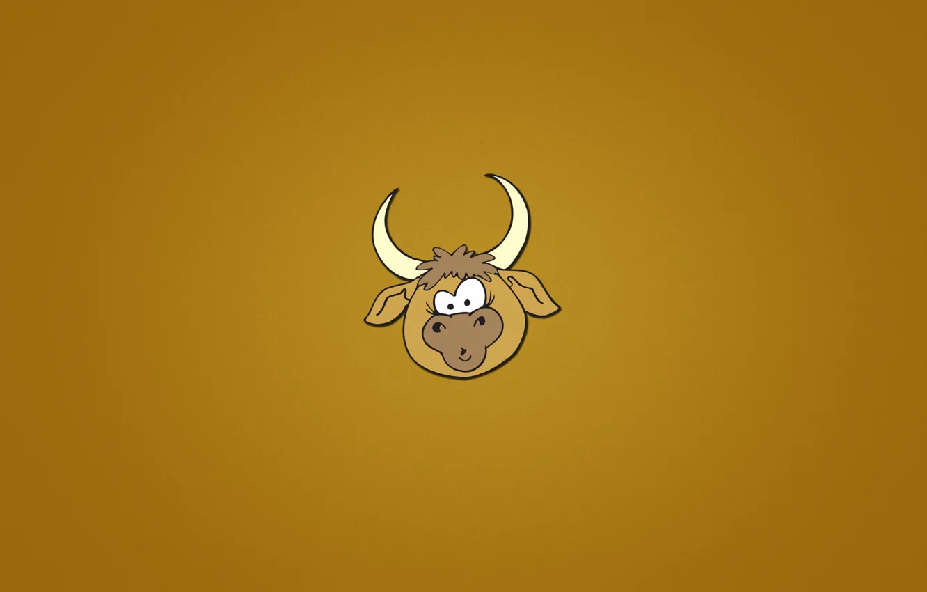 Фото обои морда, животное, минимализм, голова, рога, оранжевый фон, бык, bull