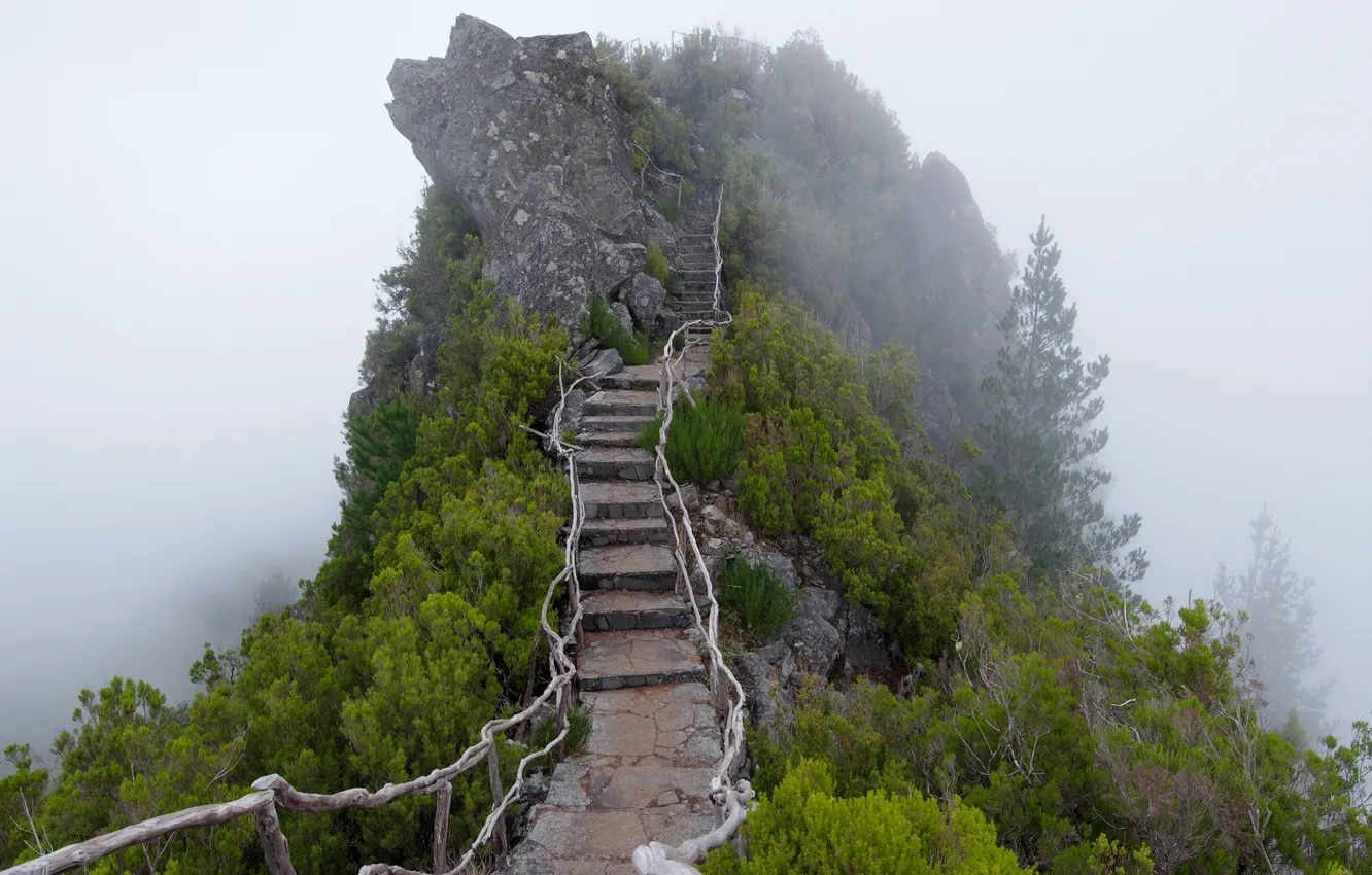 Фото обои туман, гора, лестница, ступени